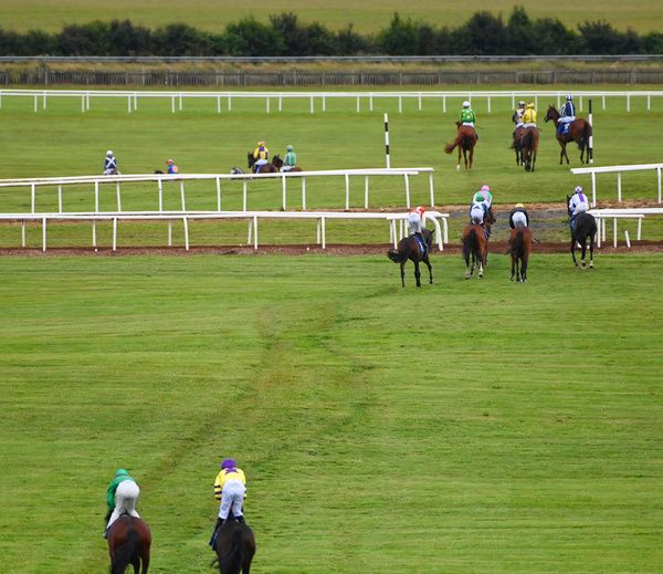 The Curragh 