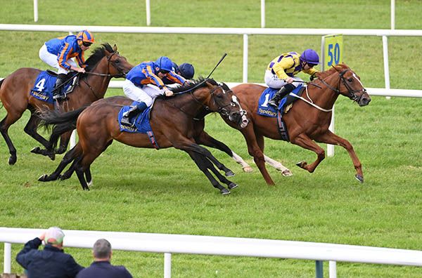 5 7 23 Tipperary Spanish Flame and Gary Carroll far win the Glenvale Stud Race from Bremen near Healy Racing Photo 