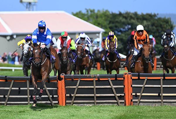 Fancy A Cosmo and Donagh Meyler lead over the last