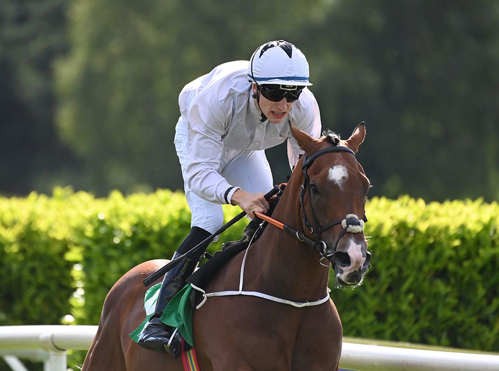 Mythical Phoenix and Donagh O'Connor