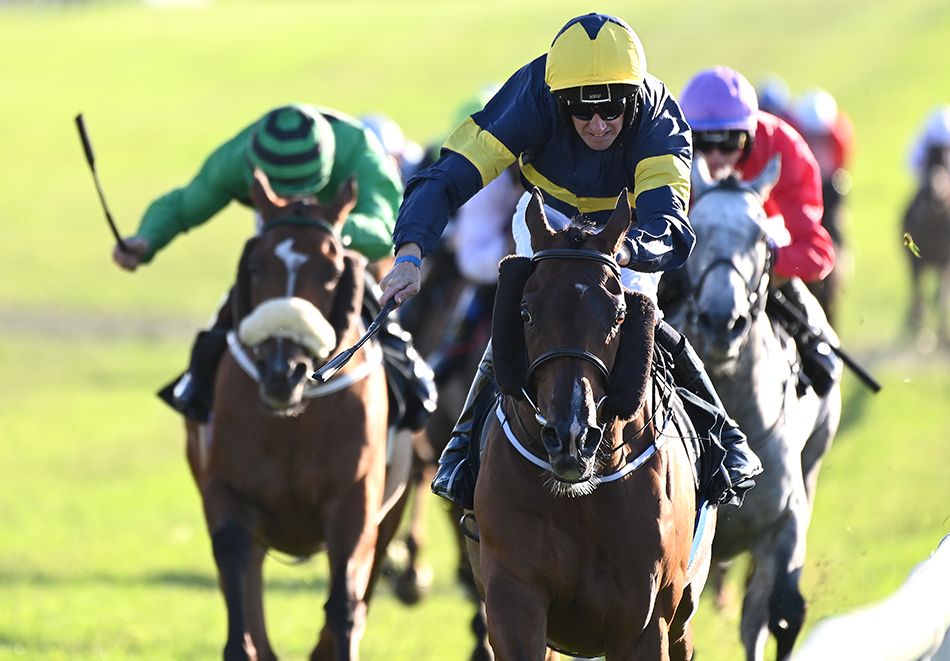 Final Orders and Conor Maxwell 