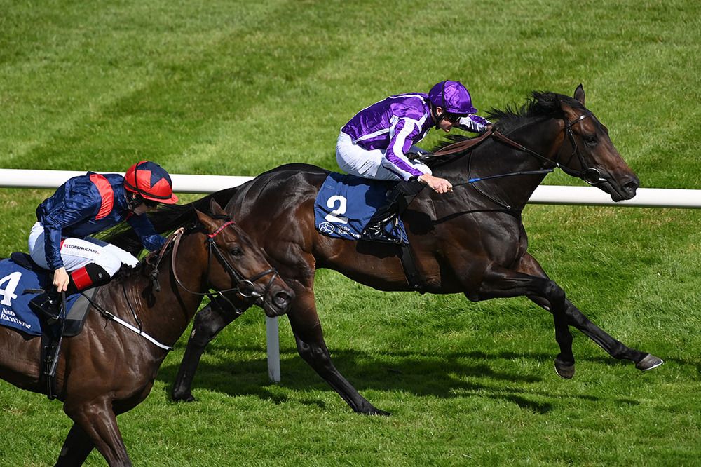 Henry Adams and Killian Hennessy beats off Shihoku for trainer Aidan O Brien 