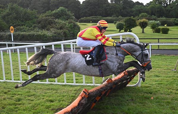 Dartan and James Smith win the Bar One Racing Handicap Hurdle 