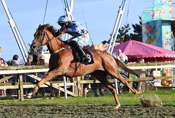 Intense Approach sent favourite backers home happy at Bellewstown 