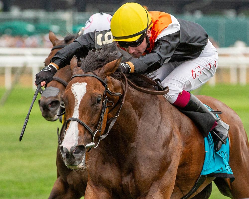 Aspen Grove is set to remain stateside for her next start for Fozzy Stack. 