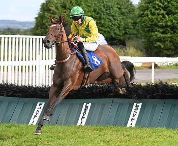 Presenting Lad goes for 4-wins in a row at Listowel today