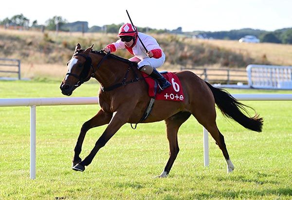 Lord Erskine brings up plenty of bets