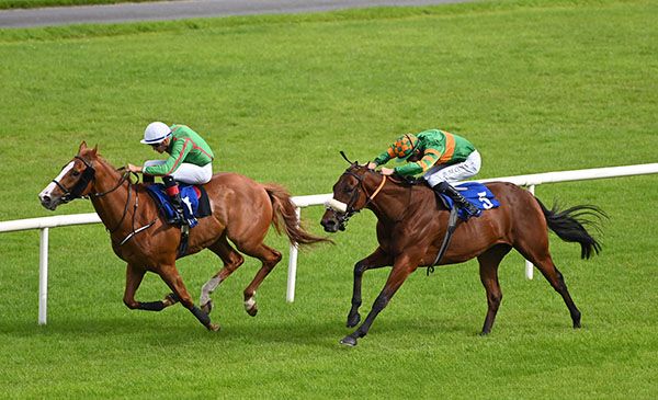 En Or and Ben Coen green and orange win the Fairyhouse Rated Race from Hell Bent 