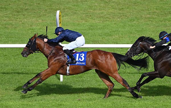 The Caribbean and Killian Hennessy