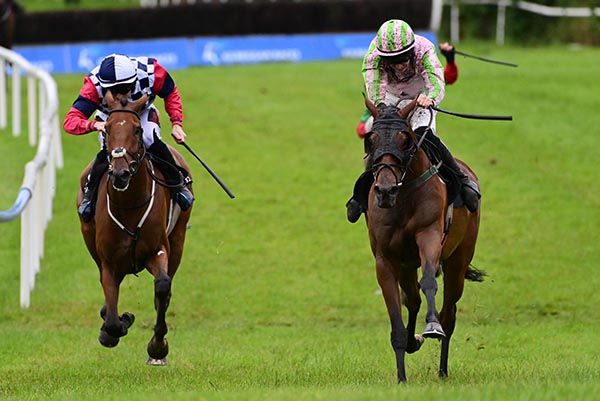 Hardwired and Michael O'Sullivan 