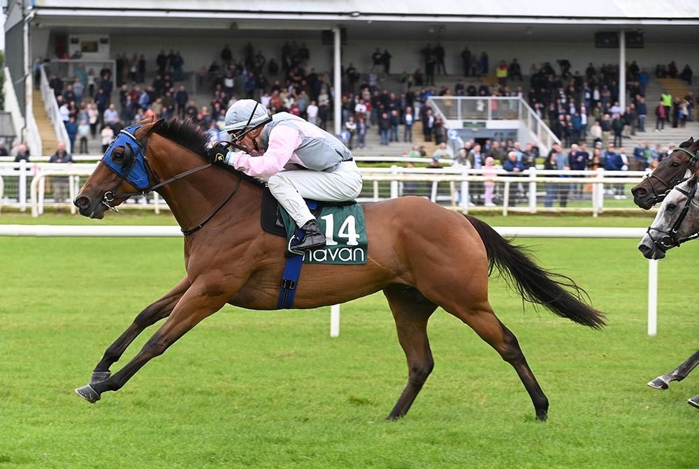 Shoebox King and Nathan Crosse win at Navan for trainer Kevin Coleman