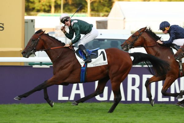 Cristian Demuro rode the unbeaten Ace Impact to win at Deauville on Tuesday. 