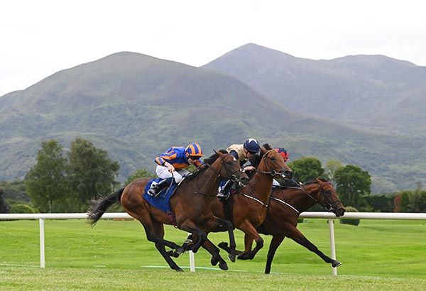 Bremen (nearest) comes with his winning run under Gavin Ryan