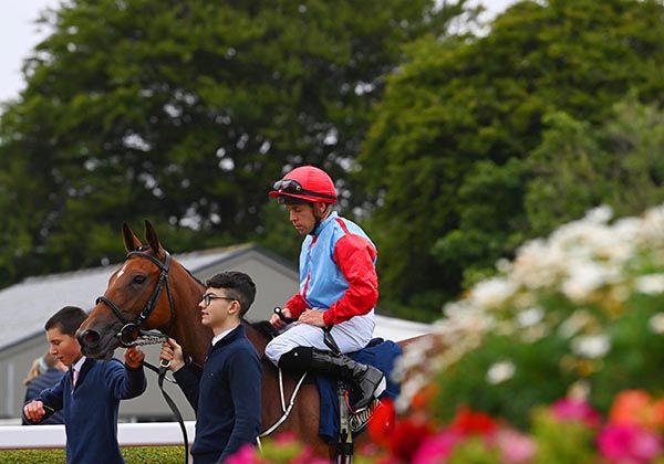 Ano Manna is led back in to the parade ring under Leigh Roche