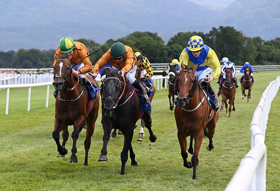 Roderick (centre) gets the better of Brown Eagle (right) and Is That Love