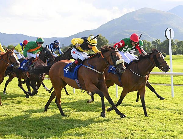 Everylittlestep (noseband) comes with her winning run under Colin Keane