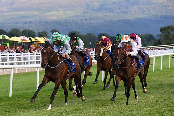 Jabbar and Dean Curran lead home their rivals