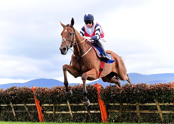 The Last Mardi made just about all the running under Jack Kennedy at Killarney. 