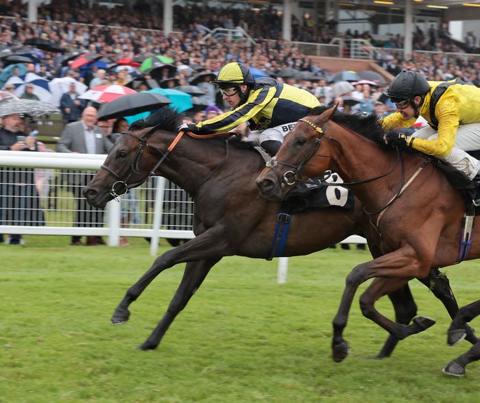 Mister Sketch, near side