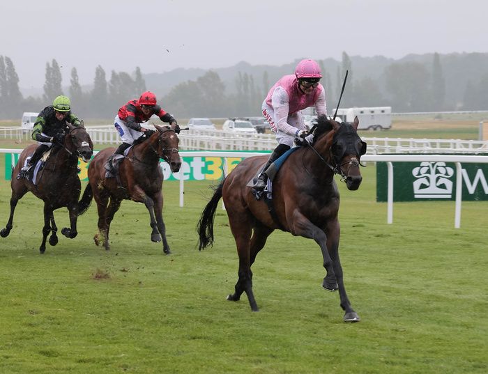 Sweet William (Robert Havlin) winning at Newbury