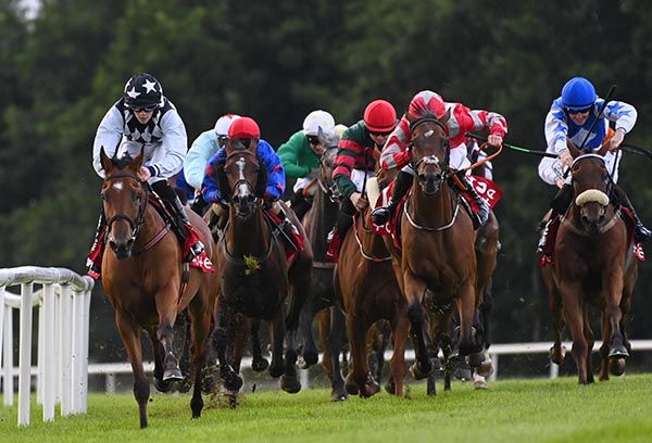 No Hassle, left, has them on the stretch