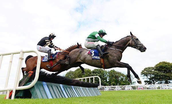 Extrapolation leads Gino Drummer Boy over the last