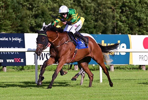 Gorgeous Suspect and Mark Walsh