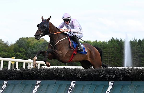 Walking The Walk and Jack Kennedy win the Limerick Handicap Hurdle 