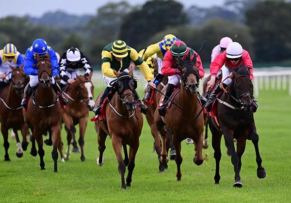 Quiz Test (right) beats the blinkered Givemefive