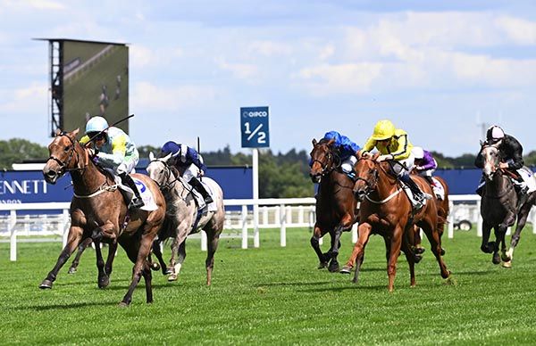Sacred Angel strong off the front