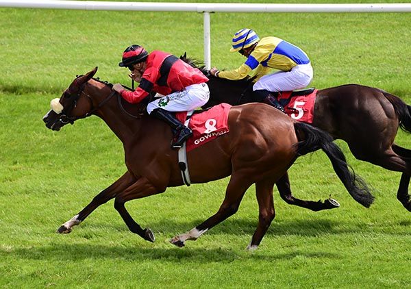 Golden Days, near side, beats Trueba by a neck