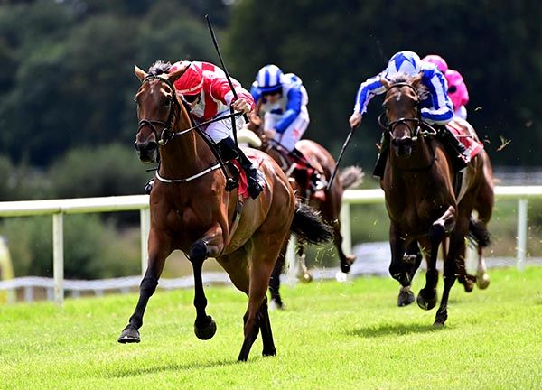 Lady Lunette has them toiling in behind