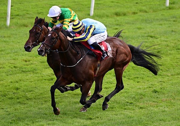 Navagio, near side, beats the favourite Didn'thavemuchtodo