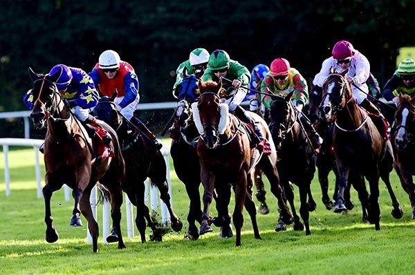 Rio Largo (white, maroon cap) 