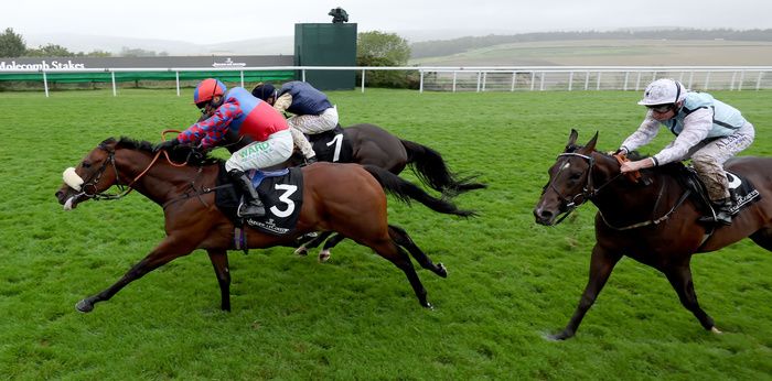 Purosangue was only just denied in the Molecomb Stakes last time out. 