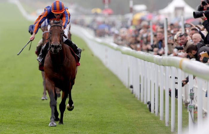 Paddington looks likely to reappear at York next week for trainer Aidan O'Brien. 