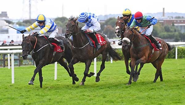 Building Bridges (blue and white checks) dead heats with Thornleigh Frank (left) 