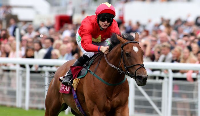 Highfield Princess