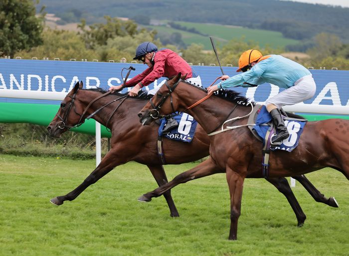 The Gatekeeper finishing second to Johan at Goodwood last season