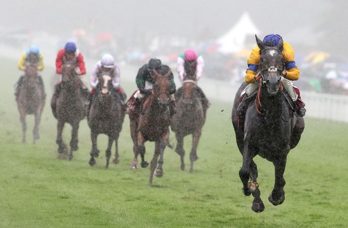 Sumo Sam seen winning in the rain at Goodwood