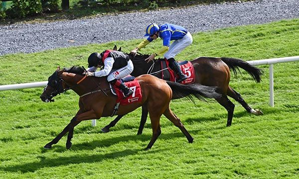Dragon Of Malta and Colin Keane beat Shawaamekh