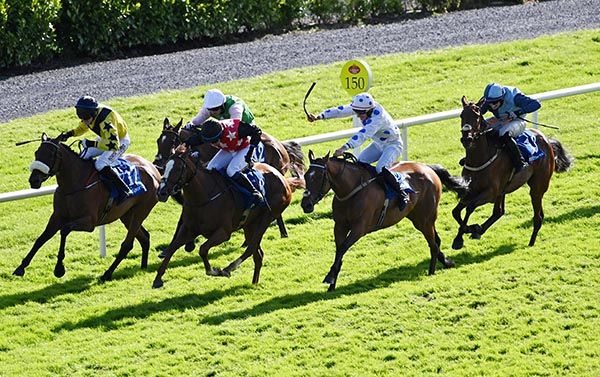 Fortunate Lighting (white, blue spots) comes to score under Ray Barron