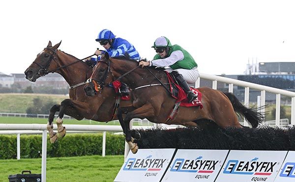 Teed Up and Conor Clarke near win the Adare Manor Opportunity Handicap Hurdle from Stilyker 