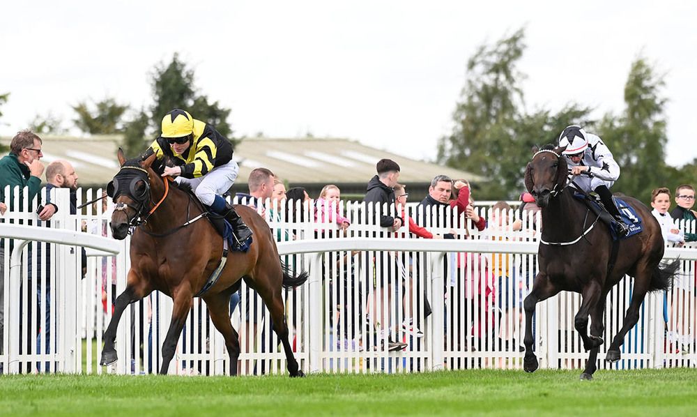 Craft Irish and Gavin Ryan 