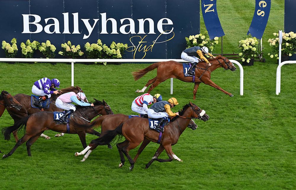 Golden Trick and Ben Coen far side beats Jungle Mate near side for trainer Hugo Palmer