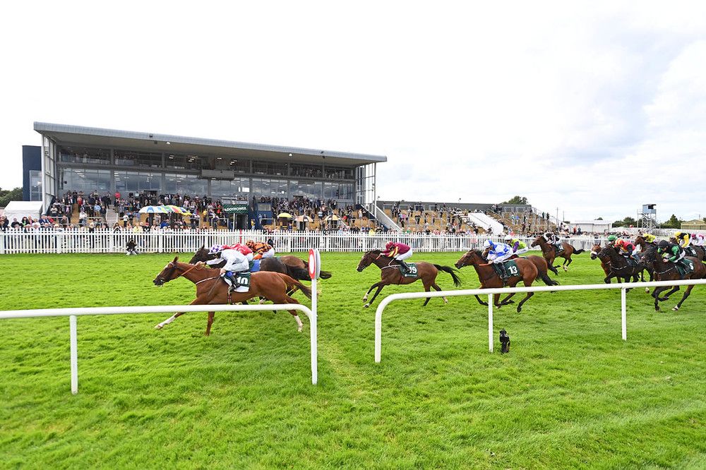 Golden Spangle and Rory Cleary(near side) just hold off Turbulence at Naas. 