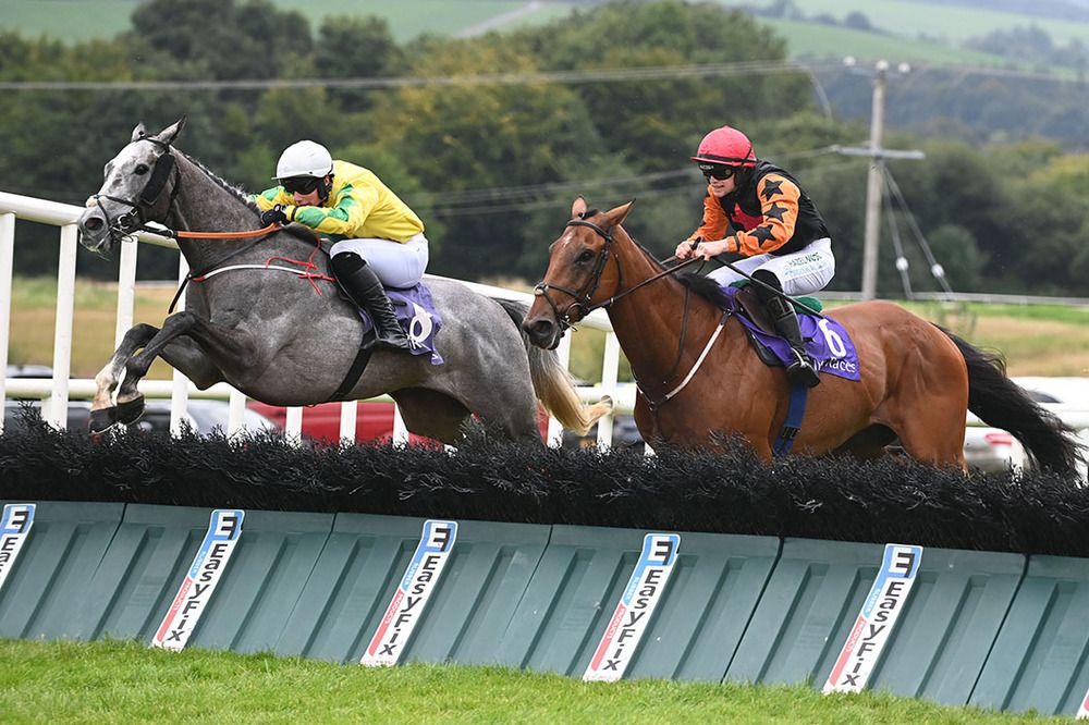 Must Meet Cecil and Danny Gilligan far side clears the final hurdle to beat Conna Cottage and Patrick O Brien.
