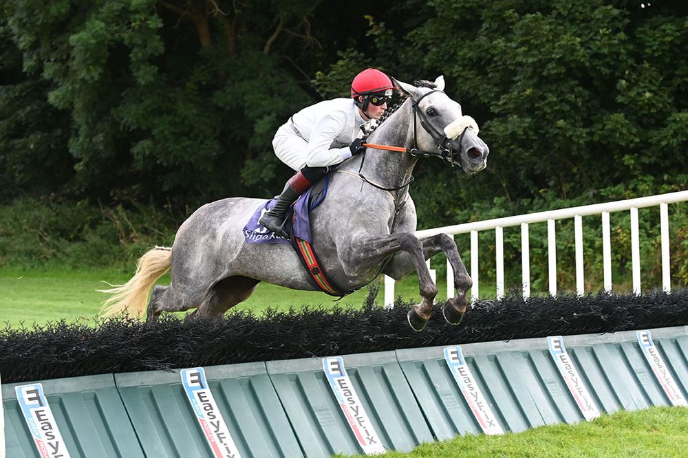 Hazelhatch Lady and Mark McDonogh win for trainer James Andrew Fahey and owner Frank Reynolds.