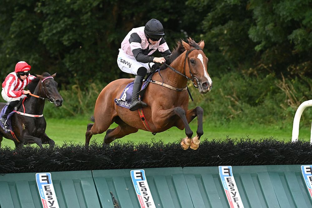 Emily In Paris and Michael O Sullivan clear the final hurdle to win for trainer Davy Fitzgerald.