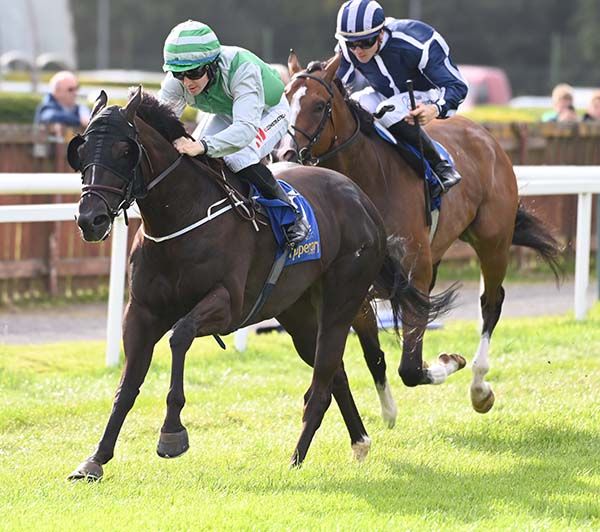 Aloysius Lilius and Colin Keane